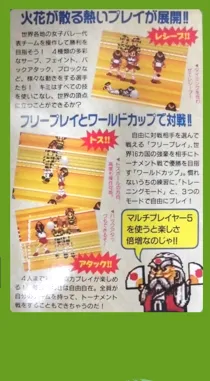 Multi Play Volleyball (Japan) box cover back